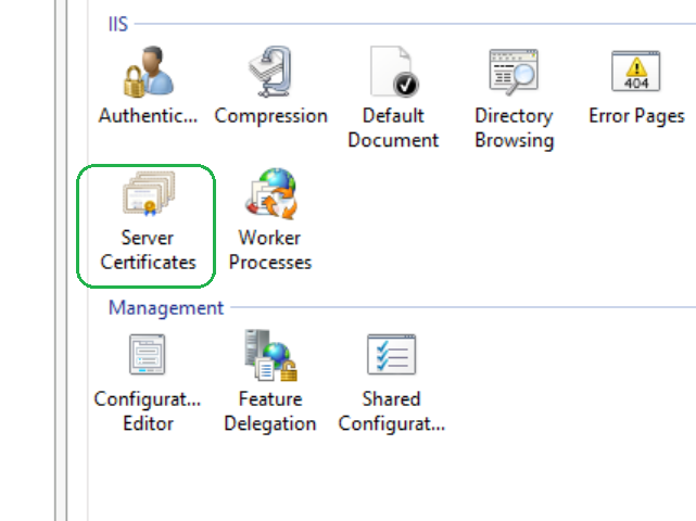 IIS Server Certificate